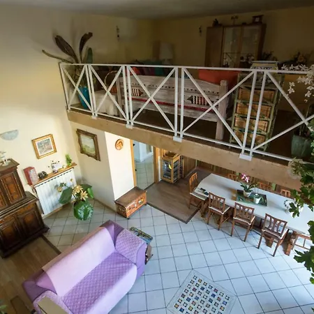 Orchidea By Dimorra Napoli