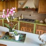 Orchidea By Dimorra